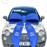 Car bow prints